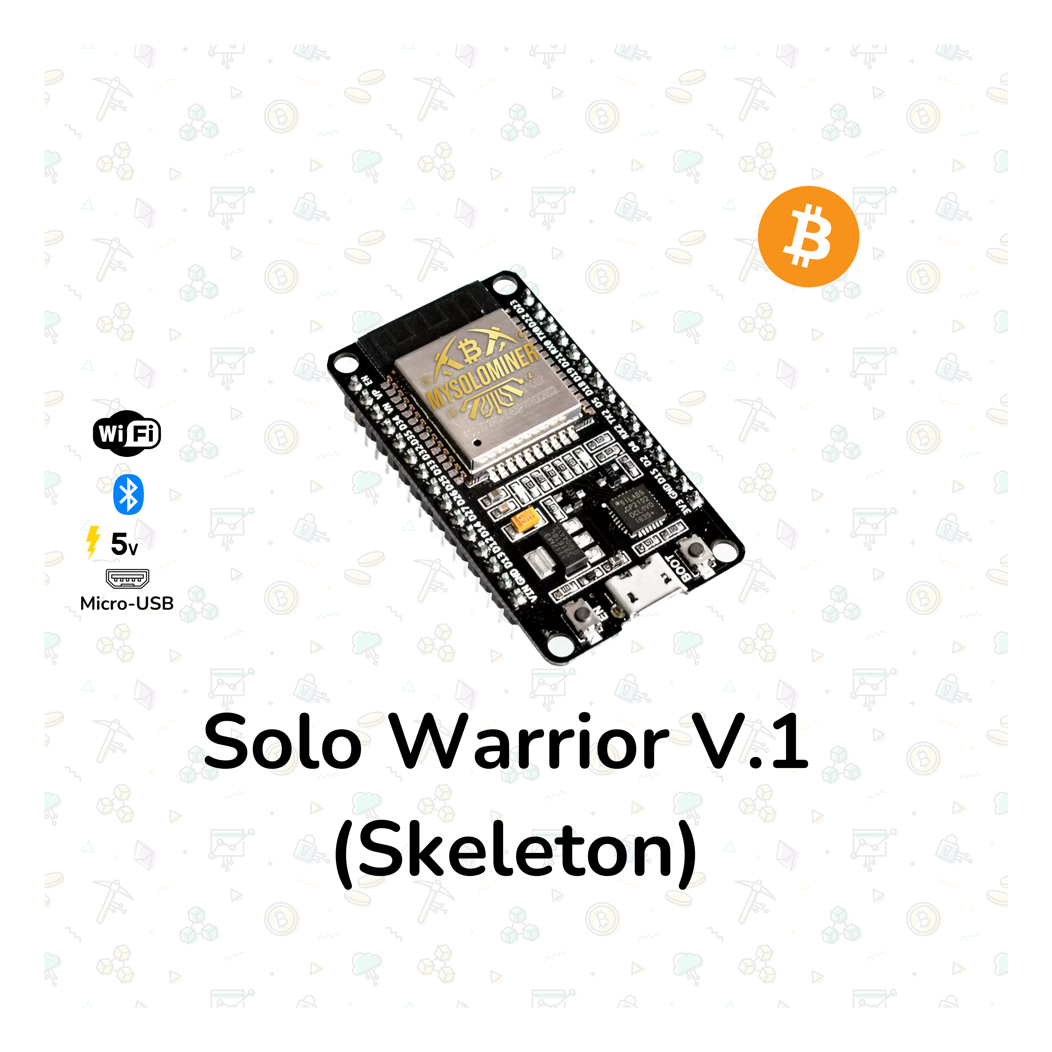 Solo Warrior V.1 (Skeleton)