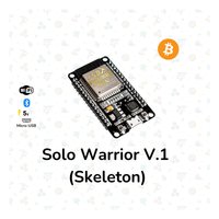 Solo Warrior V.1 (Skeleton)